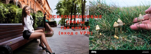 гидра Пролетарск