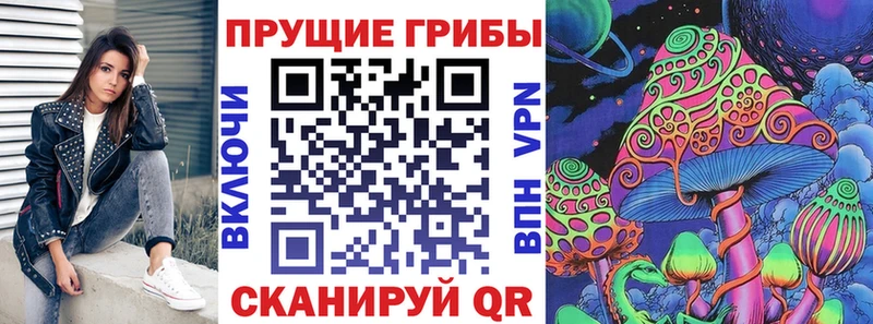 Псилоцибиновые грибы Psilocybine cubensis  Купить где  Домодедово 