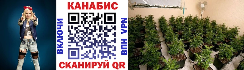 Купить где Домодедово Марихуана SATIVA & INDICA